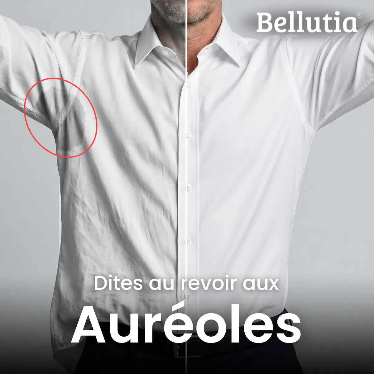 Chemise infroissable à coupe ajustée